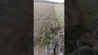 Беларус МТЗ 82.1 и плуг азотник