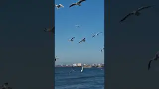 Анапа. 29.10.23