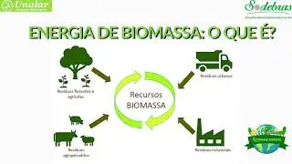 Energia de Biomassa: O que é?