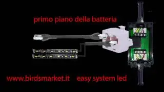 easy system led per uccelli