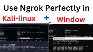How to Use Ngrok with Kali linux  Windows Perfectly | Port forwarding using Ngrok Server easily