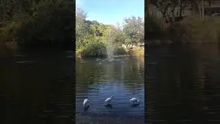 #miamidade