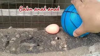 Woww!!!!! Menemukan bola basket,bola duri,bola sepak,bola semangka disamping rumah