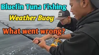 Blue Fin Tuna fishing in HMB: The Catch and Release and more.