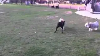 Maddie and Zoey battle it out