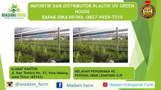 , Jual Plastik Uv Green House, Jual Plastik Uv Greenhouse Surabaya HP/WA.0857-9959-7519(BAPAK DIKA)