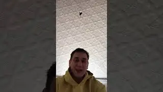 Потрачено #100 #funny #comedyvideos #смех #shorts