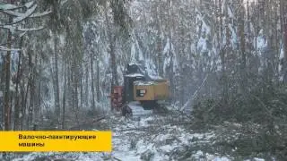 Лесозаготовительная техника Cat