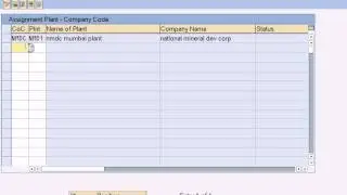 sap Sales and Distribution Configuration - Assign Plant to Co-cd