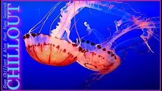 My World 2020 Chillout mix - Stan Chillout & Alex feat Yana Ganzyuk