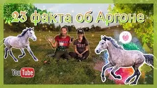 23 факта о Гоше✨