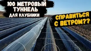 100 метровый туннель(парник) для клубники.