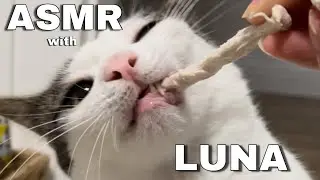 Luna eats chicken