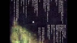 蛹 - あさき