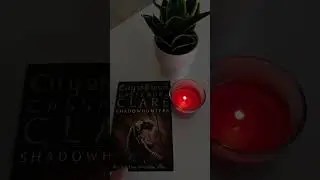 Books That Make You Forget You're Reading | Emotional Book Recommendations