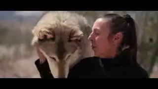 Wolf Mountain Teaser