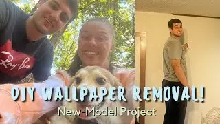 HOW TO REMOVE WALLPAPER EASILY USING VINEGAR | New-Model Project 🔨