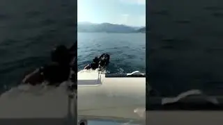 Weekend yacht crew
