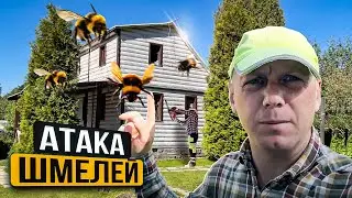 САМЫЙ КОЛКИЙ СНОС ДОМА!!! ВСЕ В СТЕКЛОВАТЕ И ВЕЗДЕ ШМЕЛИ @dismantling-LK