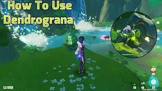 How To Use Dendrograna || Genshin Impact