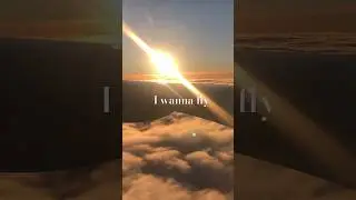 Sign to book that flight #travel #viral #trending #fly #clouds #fyp #fypシ #fypシ゚viral #shorts #video