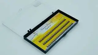 NesuraBeauty Swallowtail 20D 08mm 2H
