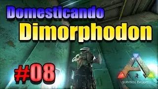 Ark Survival Evolved: Domesticando Dimorphodon, Dicas e Paracer Voador!