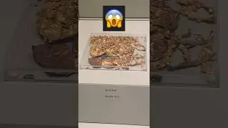 Rutherford’s Experiment and GOLD FOIL😱 || shorts