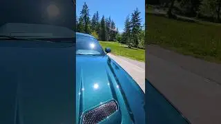 Mustang Bullitt Sun Check