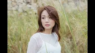李麗珊 Lisa Lee -《傻痴痴》MV  (Lyric Video)