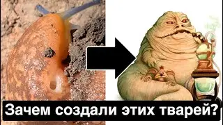 СЛИЗНИ - САМЫЕ БЕСПОЛЕЗНЫЕ СОЗДАНИЯ НА ПЛАНЕТЕ