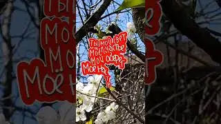 ЛЮБИ меня сильнее
