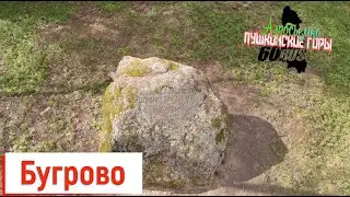 Пушкинские горы Бугрово готовится к лету