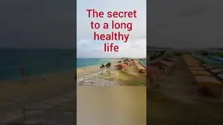 weight loss tonic, #short