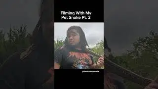 y'all heard how he almost choked ya boy out 😭🐍 #reptile #pet #reptilelife #snake #reptileworld
