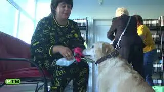 Четвероногие лекари