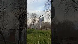 смотрели когда-нибудь аниме? #акробатика #лысый #собака