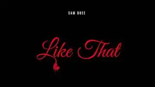 Sam Boee - Like That