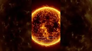 Facts You Don't Know About Neutron Experiments 