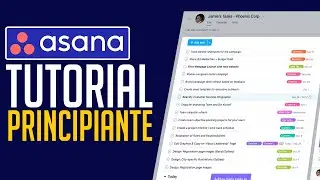 Cómo usar ASANA para Principiantes (2024) | Tutorial Asana Español