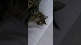 А у нас в роду 