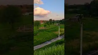 #злата 🦊