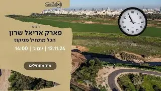וובינר 