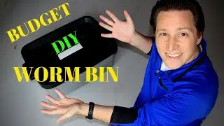 Creating a Simple Vermicomposting Worm Bin