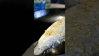 #сибас