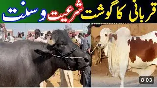Islamic method of قربانی meat | #bakramandi #eiduladha2024