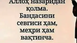 Хохлесизми хохламайсизми кирдиз...Абдуллох домла