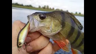 🎣 ВОБЛЕРЫ ИЗ КИТАЯ ⚓!!!! Aliexpress