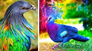 The Most Amazing BIRDS and ANIMALS in the World ULTRA HD VIDEOS - Relaxing Music and Nature Sounds