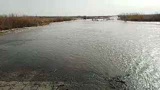 Вода идёт через дорогу 03.04.2024